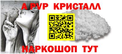 индика Славгород