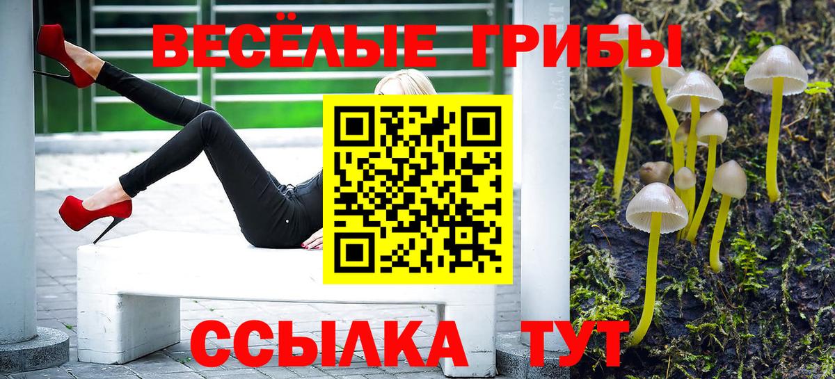 Псилоцибиновые грибы Magic Shrooms Чебаркуль