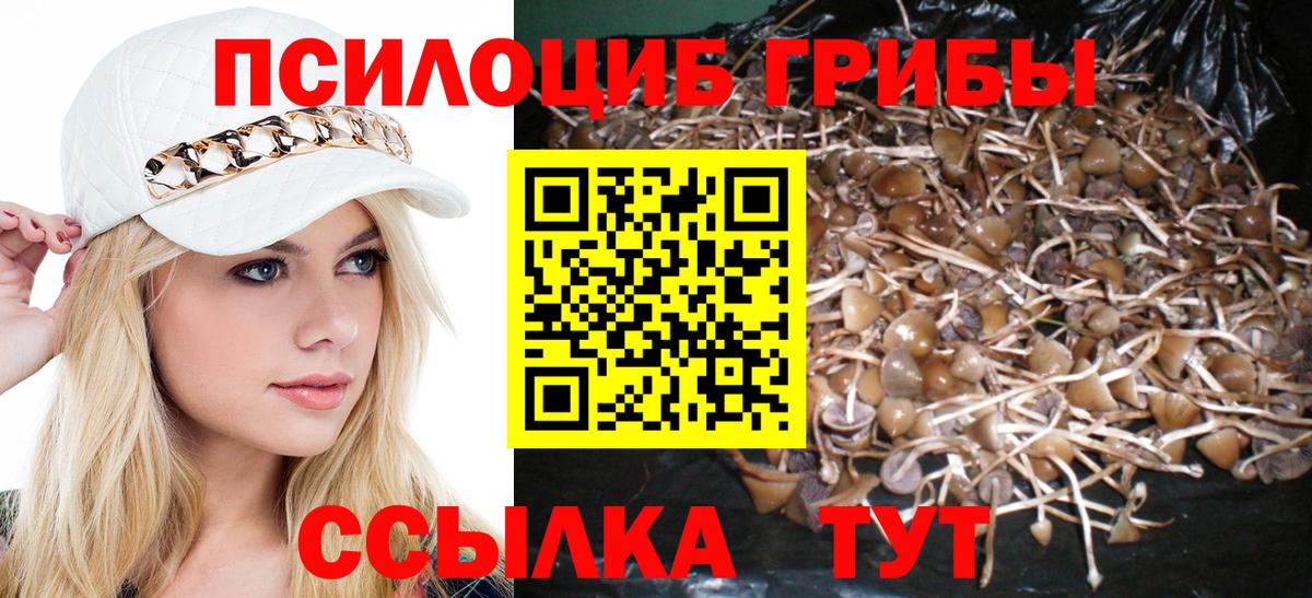 Псилоцибиновые грибы Magic Shrooms  Галлюциногенные грибы MAGIC MUSHROOMS  Чебаркуль  Вход с VPN 